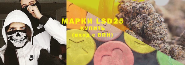 стаф Богданович