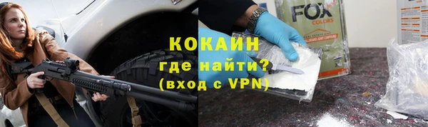 стаф Богданович
