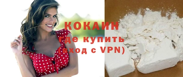 стаф Богданович