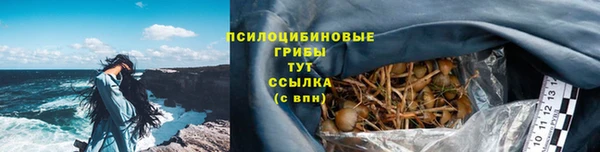 первитин Богородск