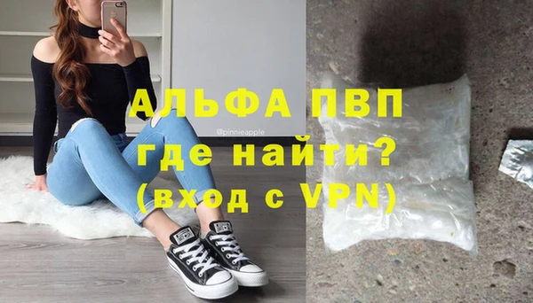 сатива Беломорск