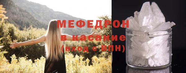 стаф Богданович